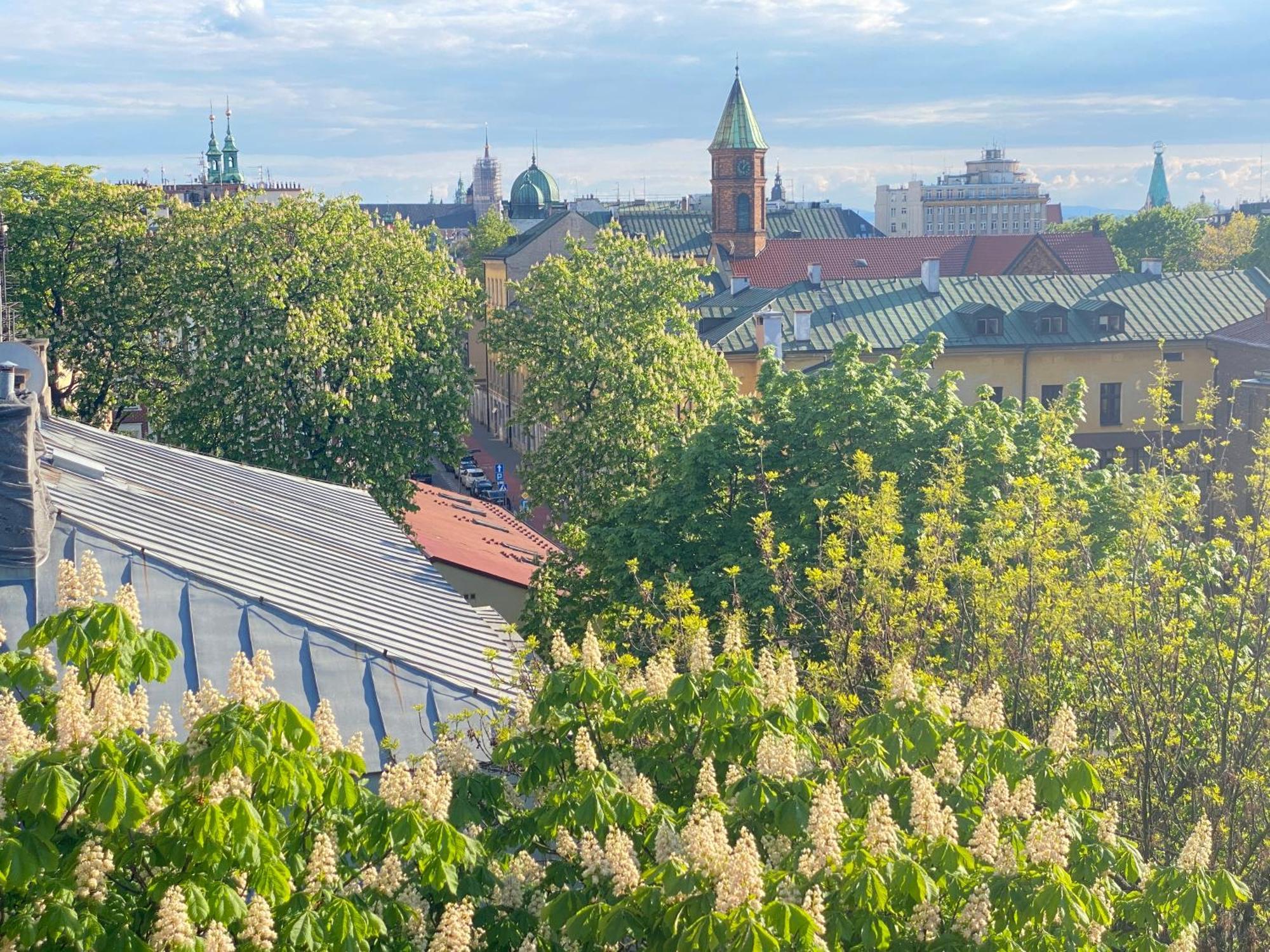 Angel Mint Apartment - Free Parking - Balcony Cracovia Exterior foto